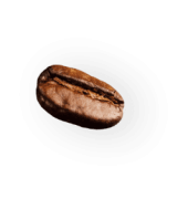 demo-attachment-41-coffee-beans-P4MXYZD7@2x