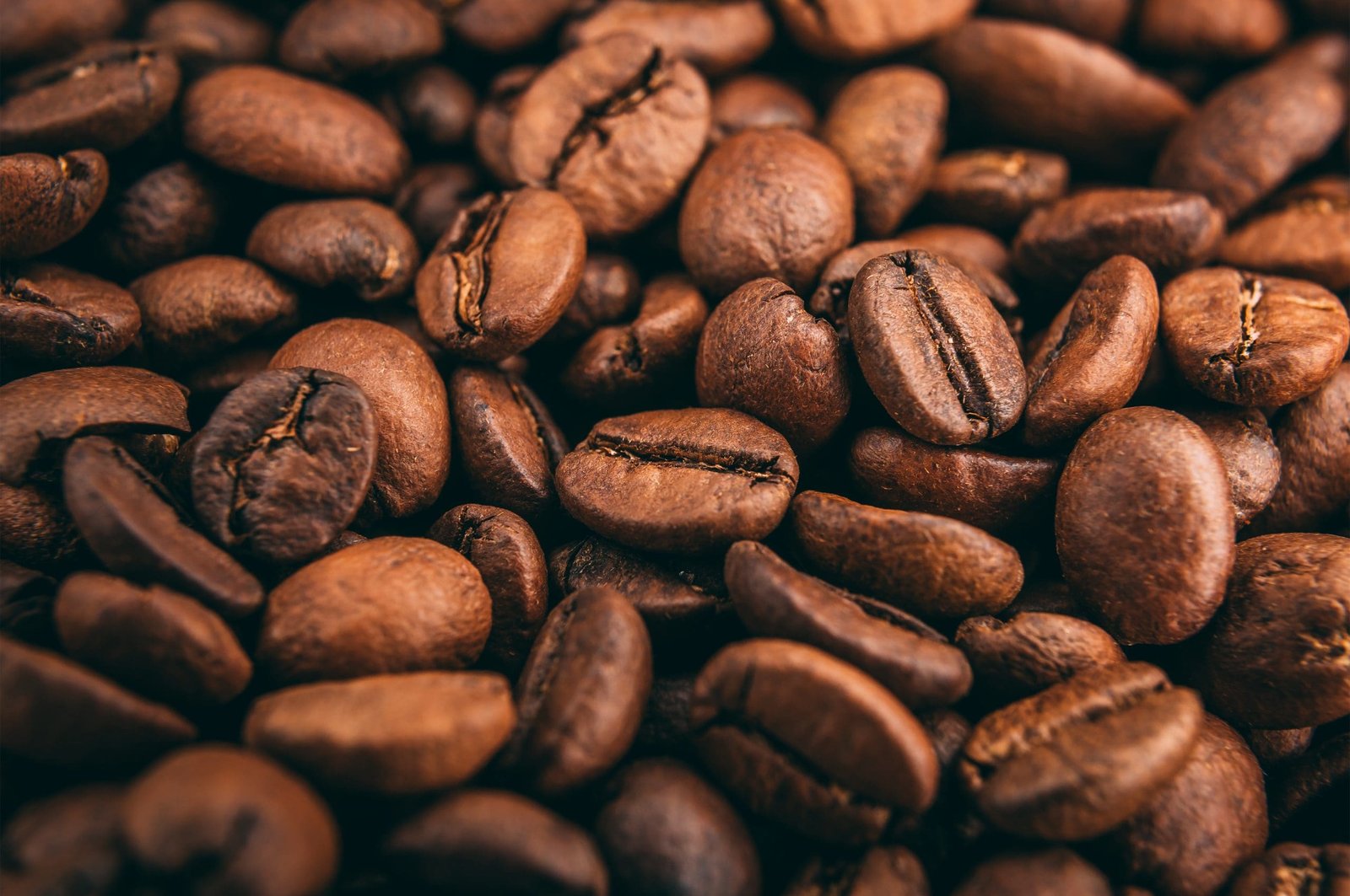 Freshly roasted coffee beans